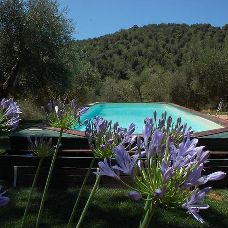 Bed and Breakfast Il Pino Vetulonia Exterior foto