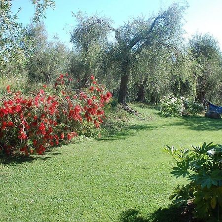 Bed and Breakfast Il Pino Vetulonia Exterior foto