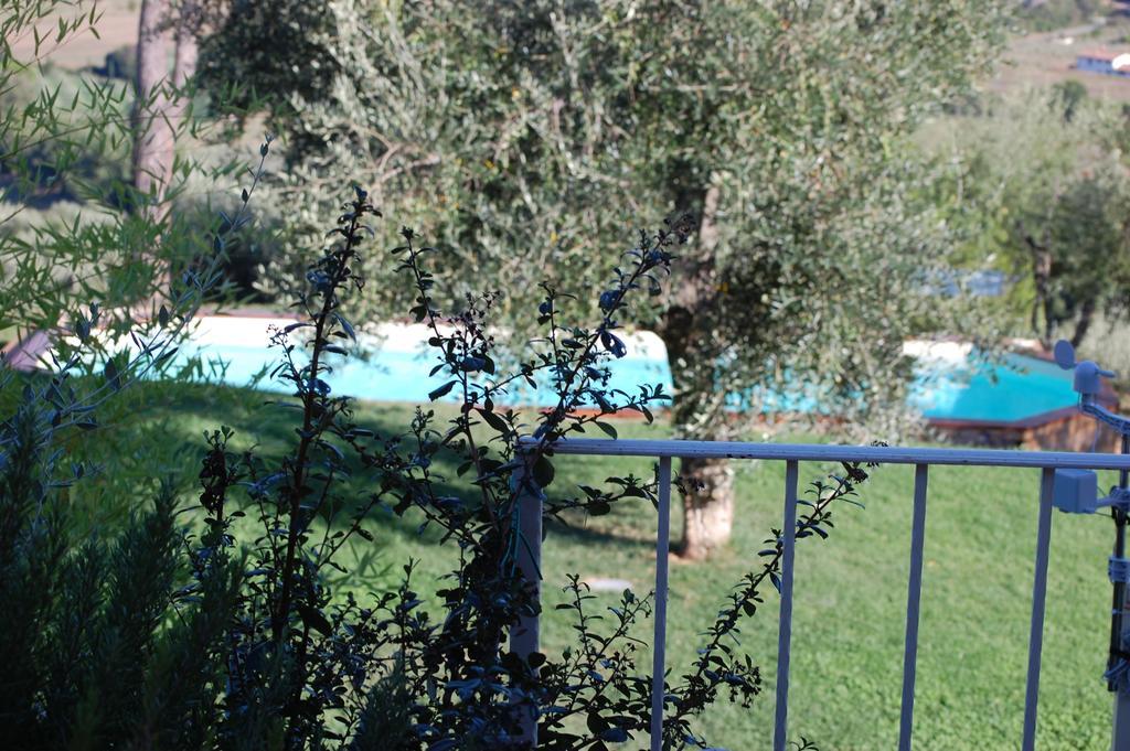 Bed and Breakfast Il Pino Vetulonia Exterior foto