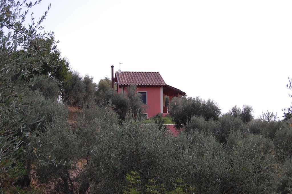 Bed and Breakfast Il Pino Vetulonia Exterior foto