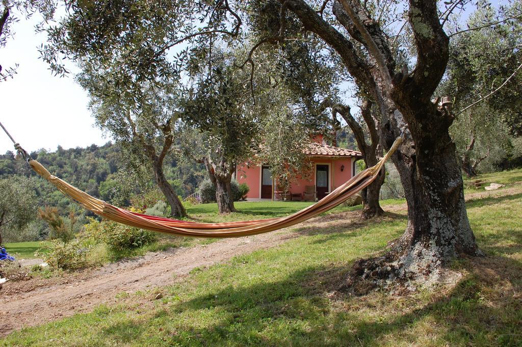 Bed and Breakfast Il Pino Vetulonia Exterior foto