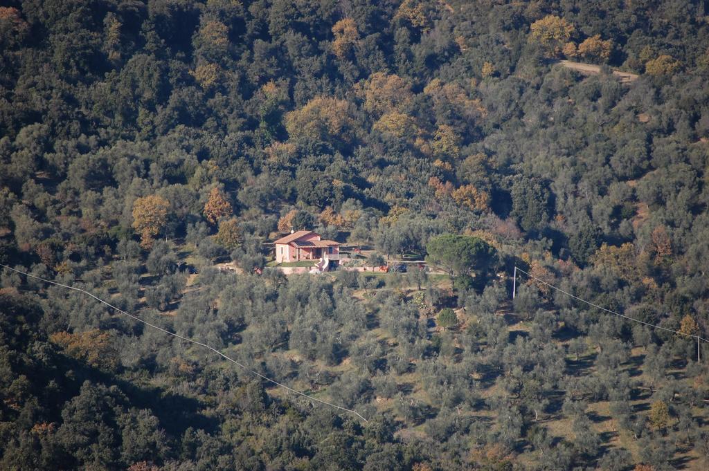 Bed and Breakfast Il Pino Vetulonia Exterior foto