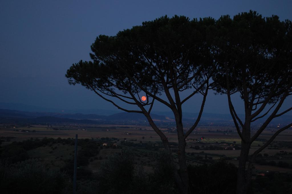 Bed and Breakfast Il Pino Vetulonia Exterior foto
