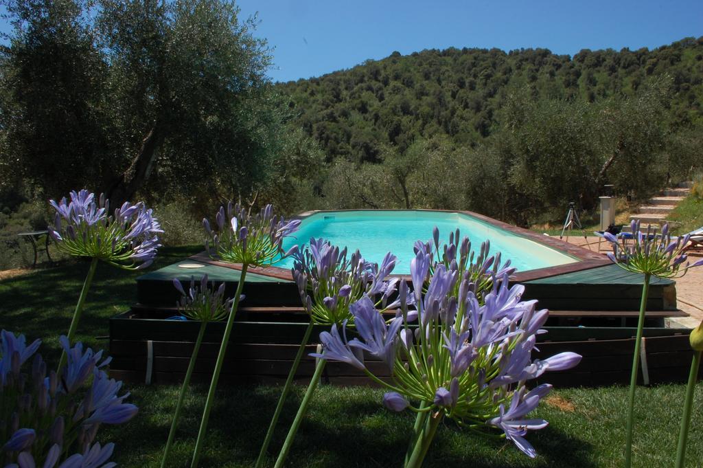 Bed and Breakfast Il Pino Vetulonia Exterior foto
